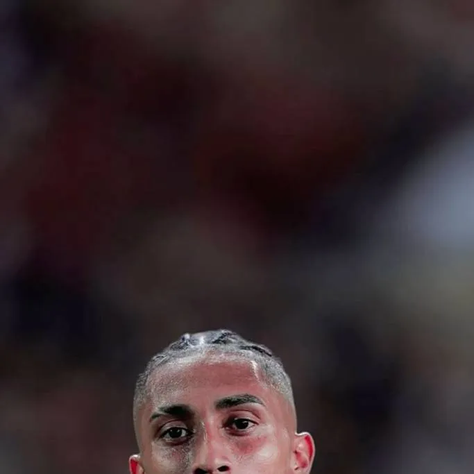 chat with ai character: Рафинья 