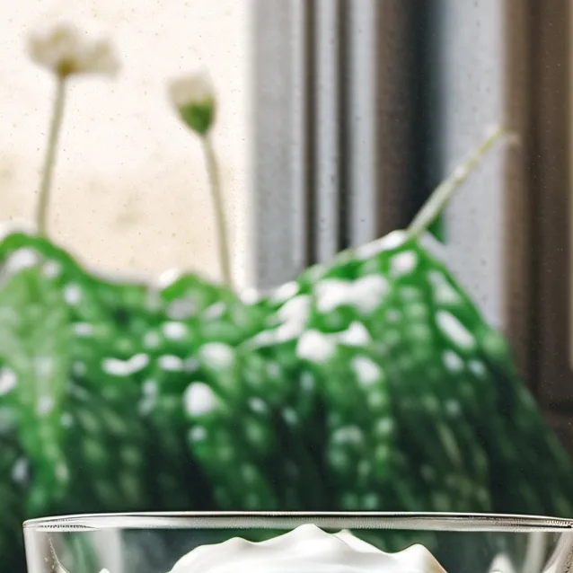 chat with ai character: Dog