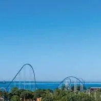 chat with ai character: cedar poI~nt