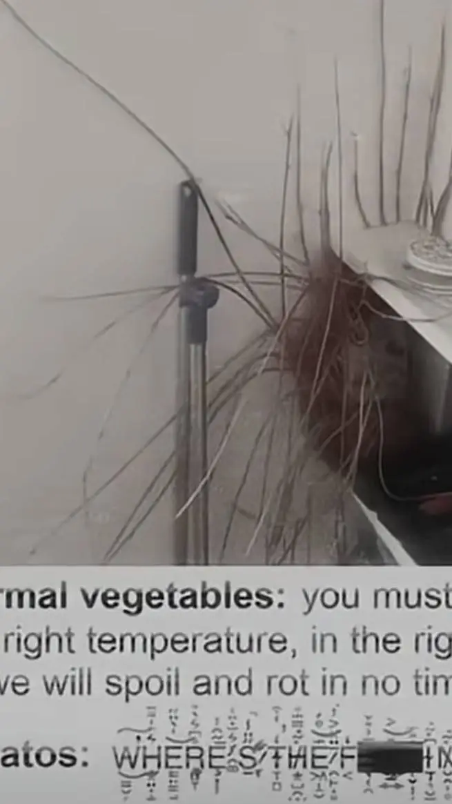 ai character: unreal glich V background