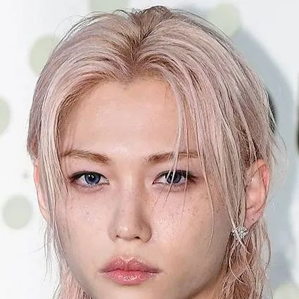 chat with ai character: 💗felix🐣