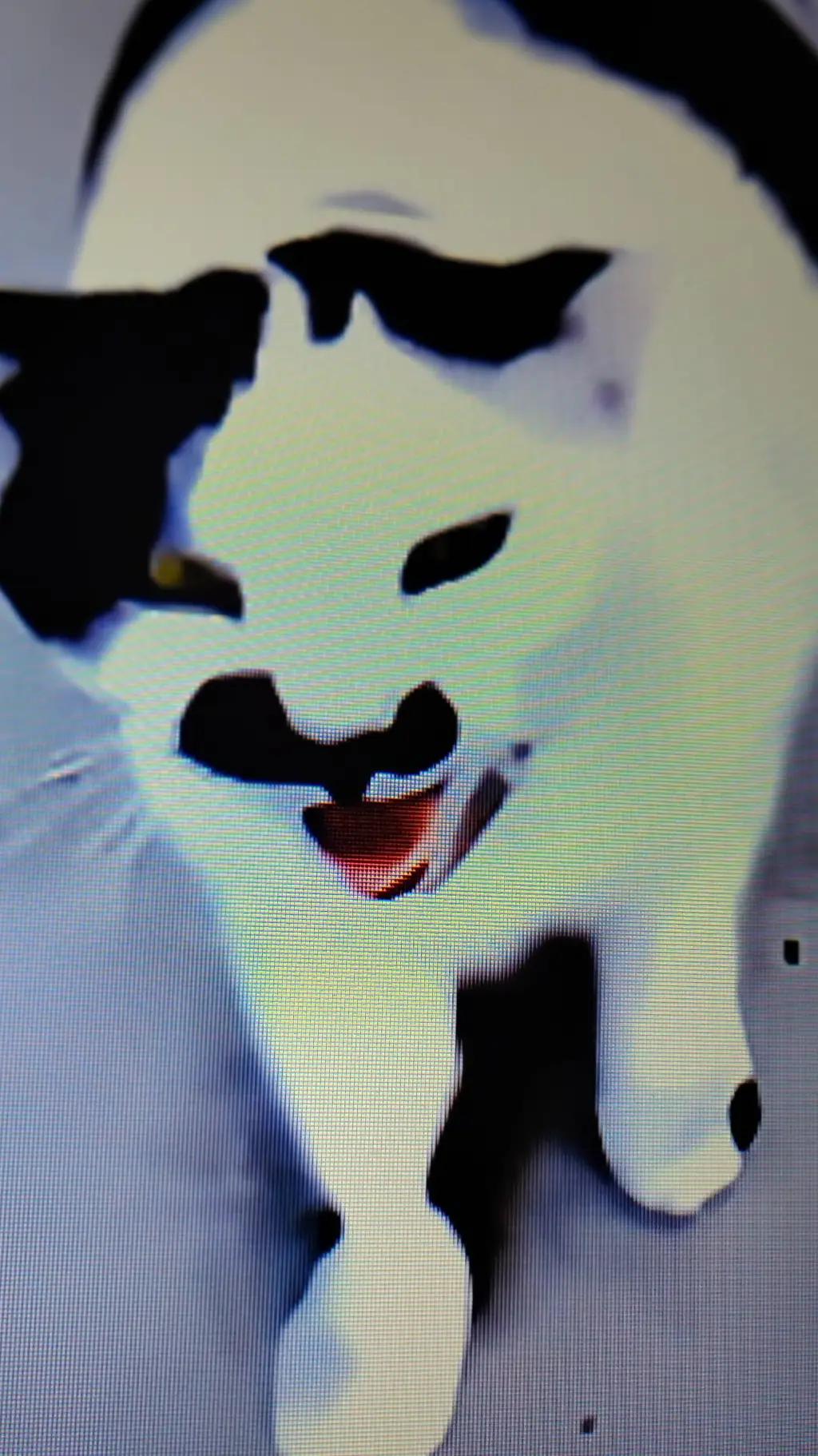 ai character: kitty  background