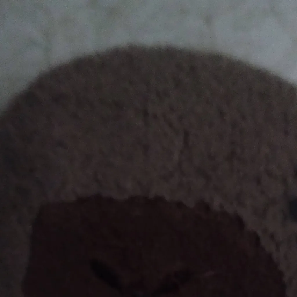 chat with ai character: Has lo que quieras