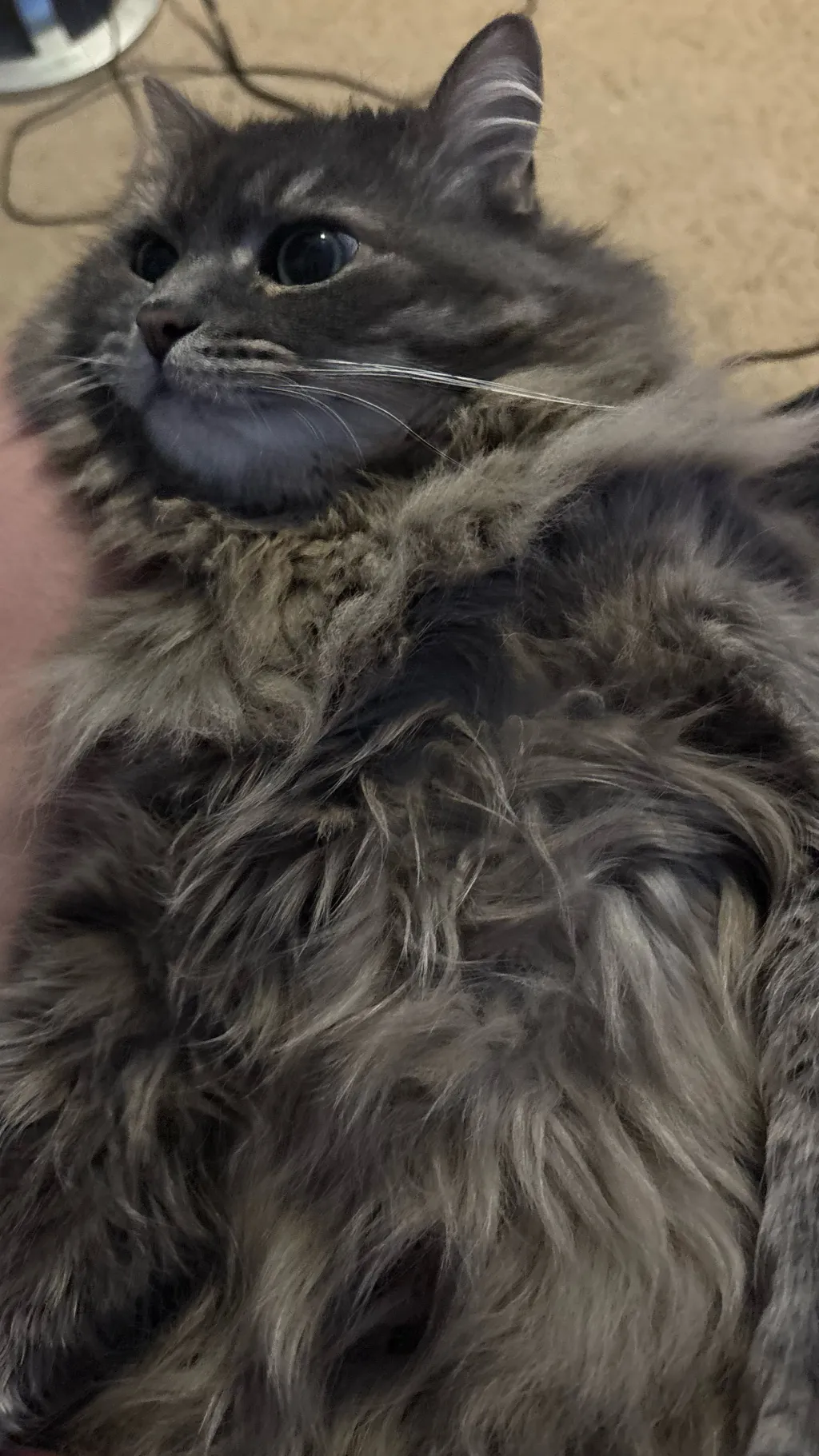 ai character: Anything background