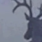 chat with ai character: ALASTOR