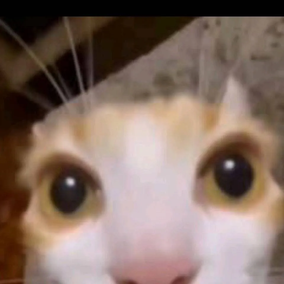 chat with ai character: crk loves you✌️😊