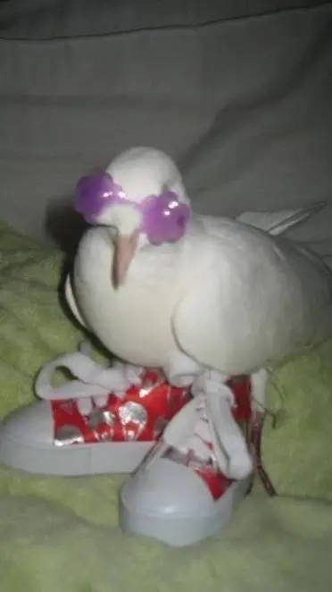 ai character: Vocaloids!◇ background