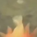 chat with ai character: anything u want