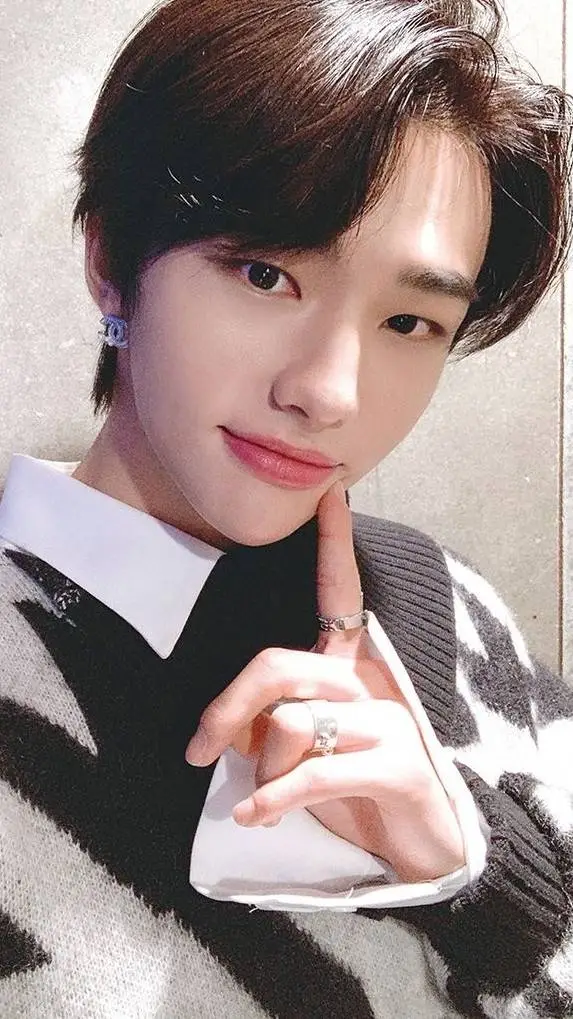 ai character: Hyunjin background
