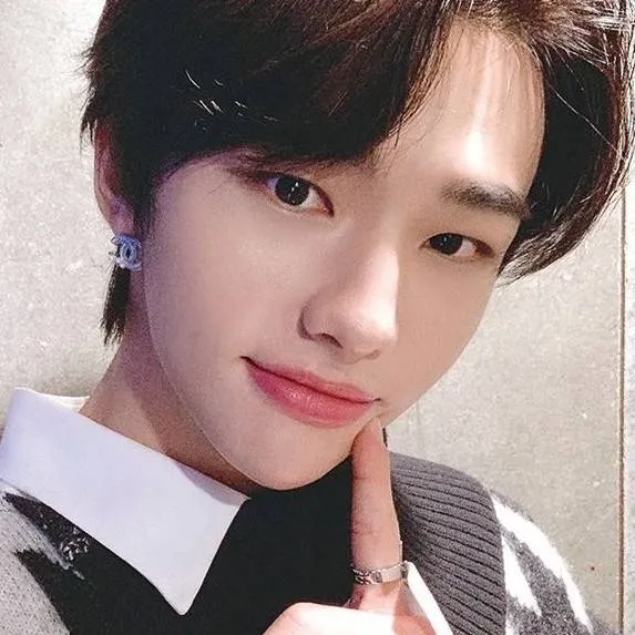chat with ai character: Hyunjin