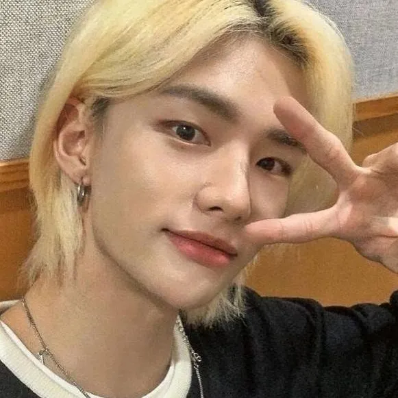 chat with ai character: Hyunjin