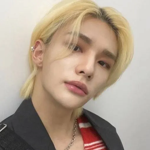 chat with ai character: Hyunjin