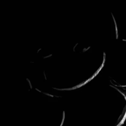 chat with ai character: Flowey