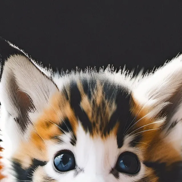 chat with ai character: kitty mom hate