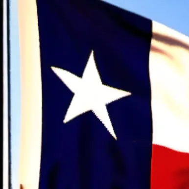 chat with ai character: Texan kitty.