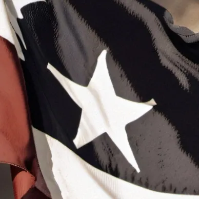 chat with ai character: Texan  