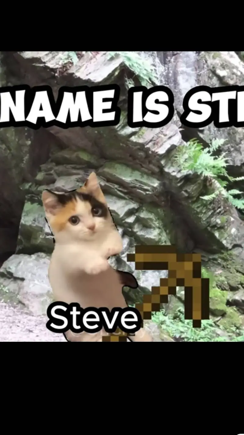 ai character: steve cat background