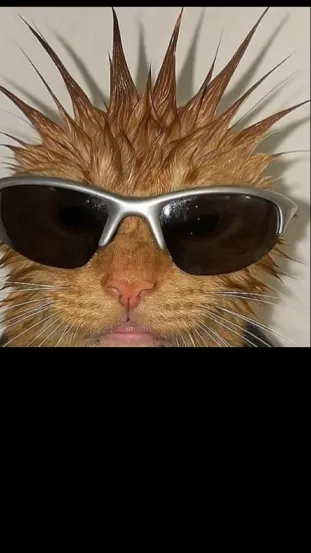 ai character: Gangster kitty background