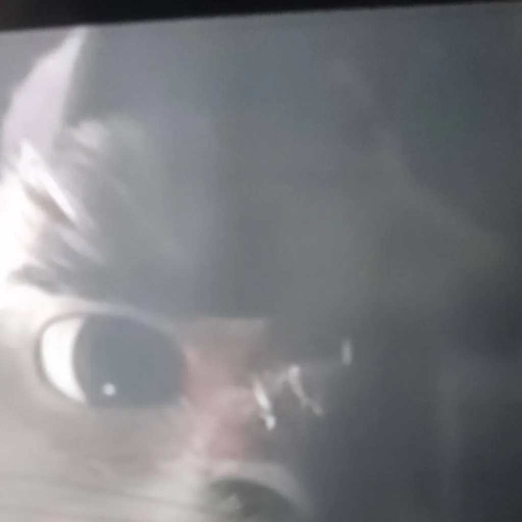 chat with ai character: the bully