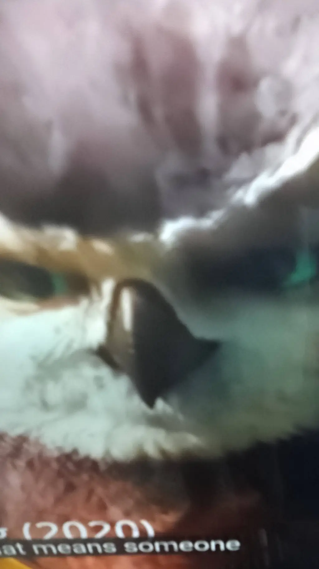 ai character: longclaw background