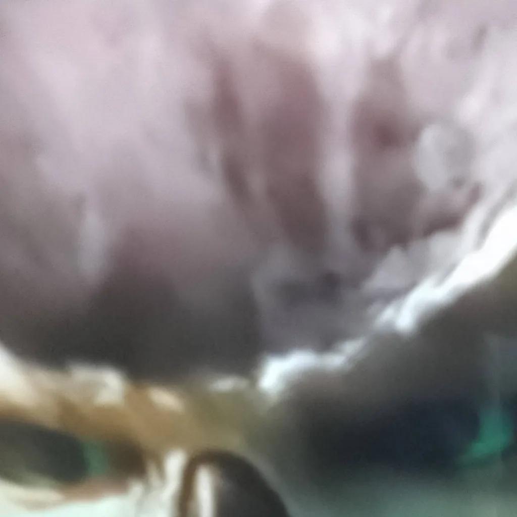 chat with ai character: longclaw