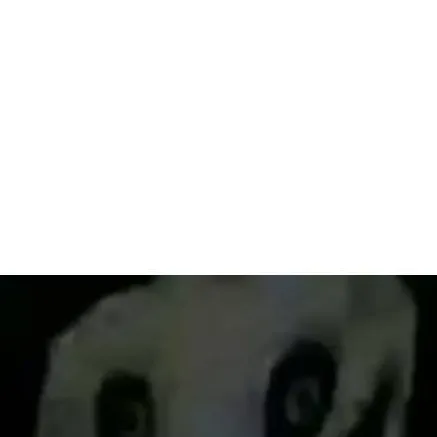 chat with ai character: me lajalecongasoli