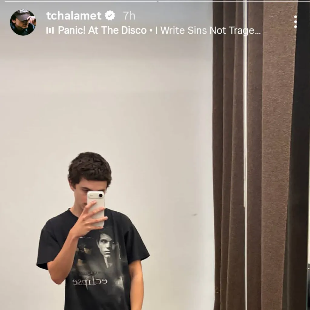 chat with ai character: Timothée Chalemet