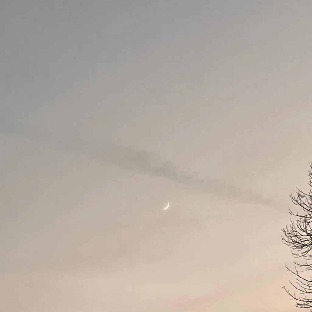 chat with ai character: Twd hangout