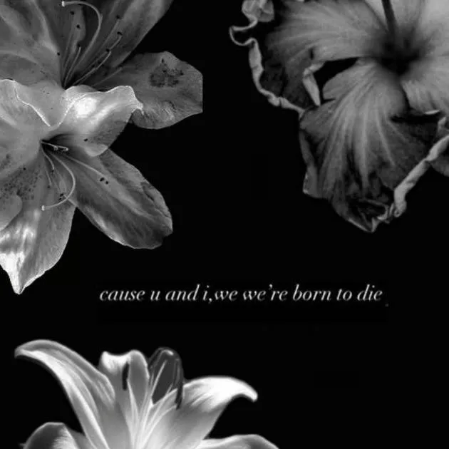 chat with ai character: Im sorry.