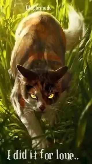 ai character: 💫warrior cats💫 background