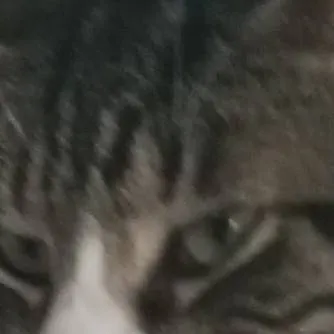 chat with ai character: my face