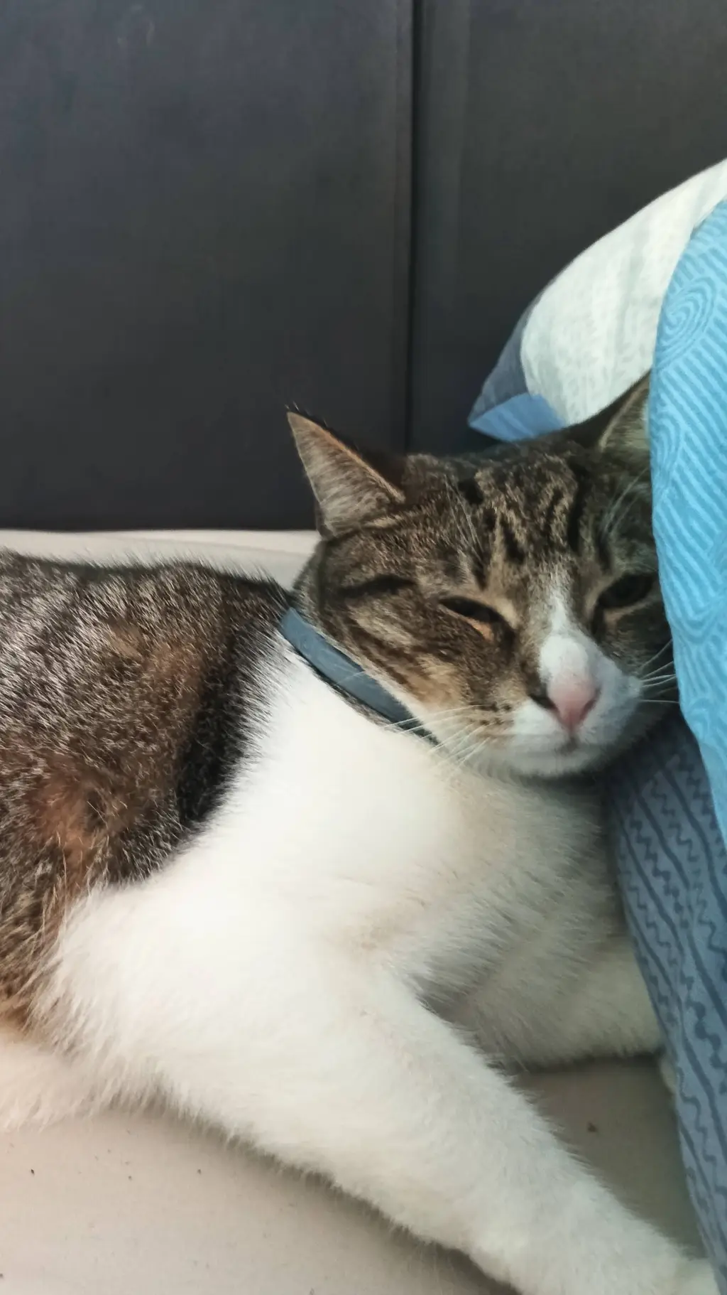 ai character: WARNING!!!!!!!! background