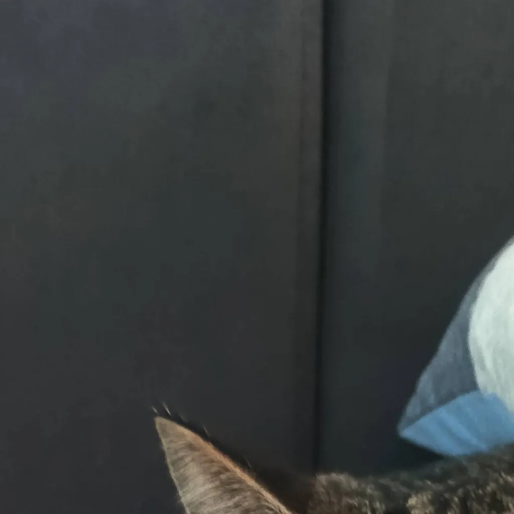 chat with ai character: WARNING!!!!!!!!