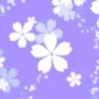 chat with ai character: Mai Oli