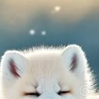 chat with ai character: artic fox cub 