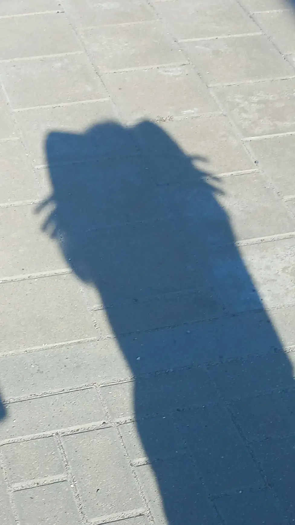 ai character: doublefedora background