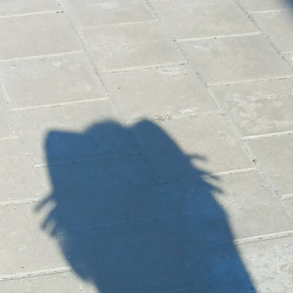 chat with ai character: doublefedora