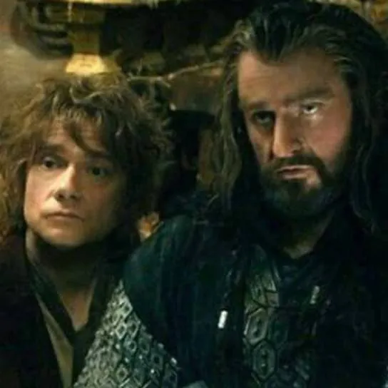 chat with ai character: thorin x bilbo