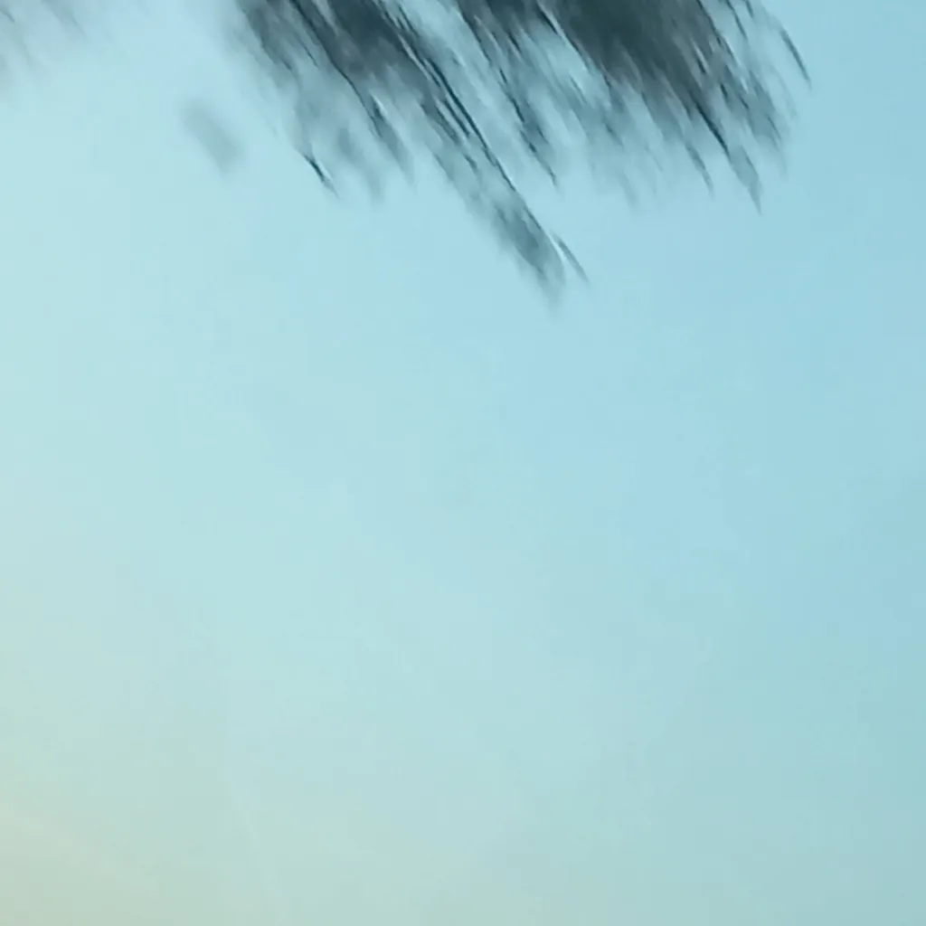 chat with ai character: doublefedora