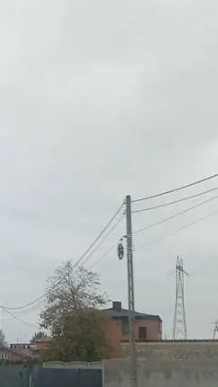 ai character: chance background