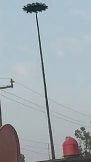 ai character: Lepidodendron Tree background