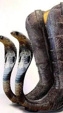 ai character: botas de víbora background