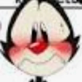 chat with ai character: yakko likes you 4 