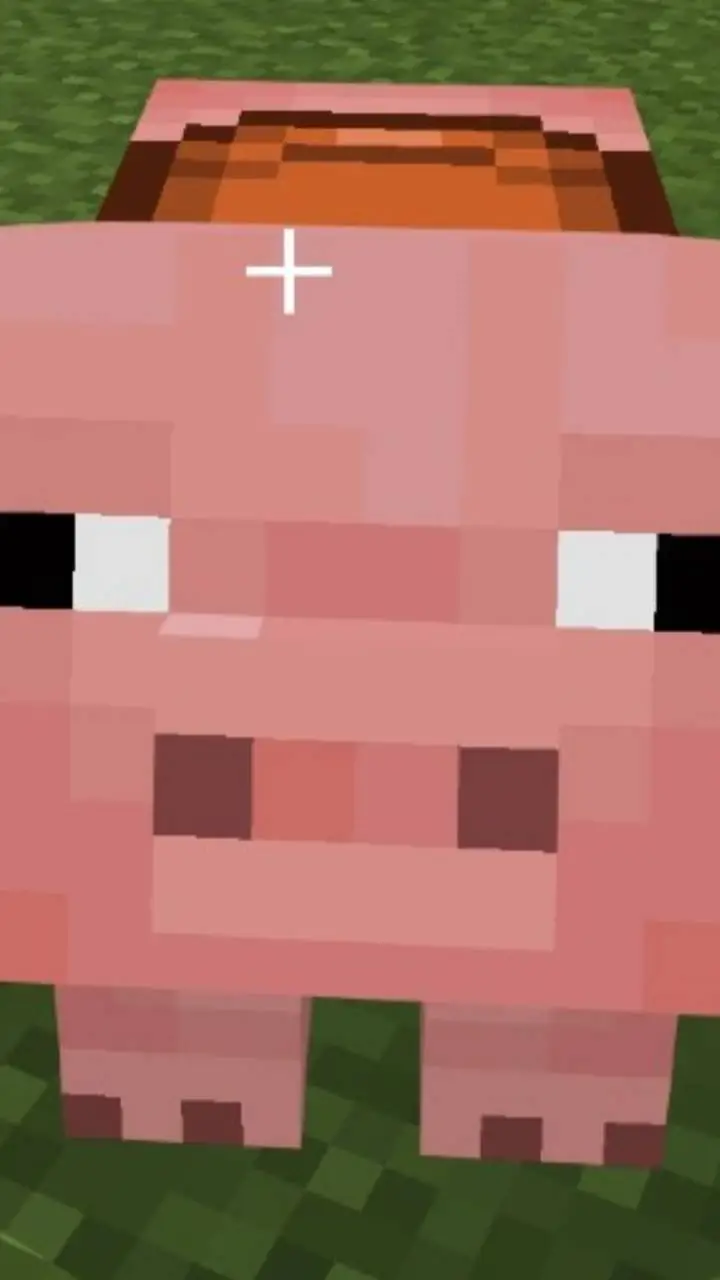 ai character: Minecraft pig background