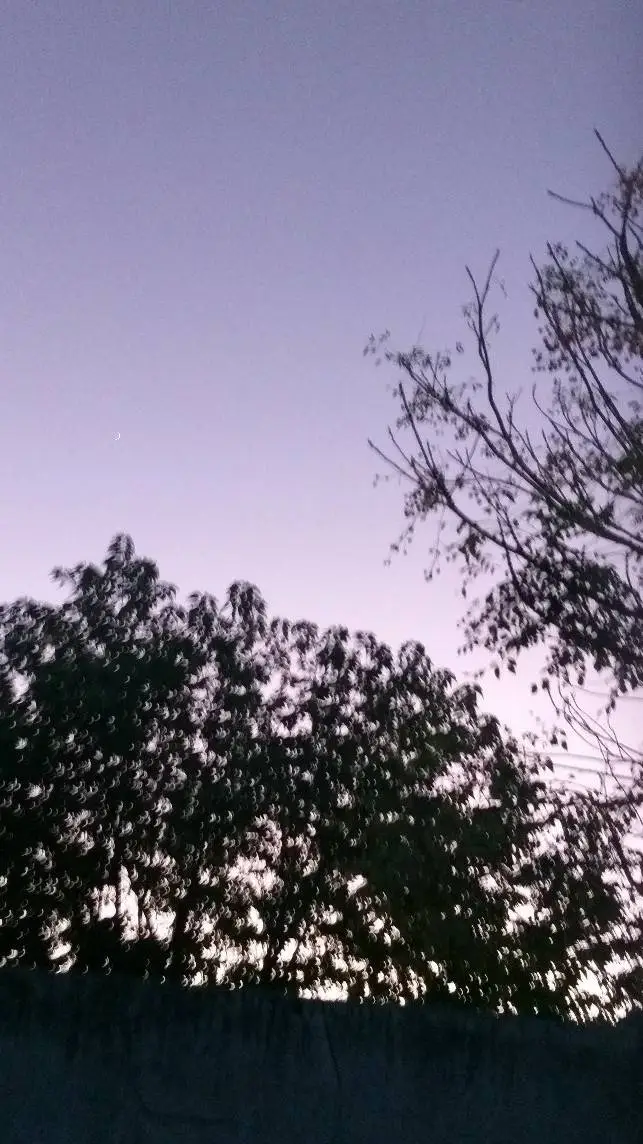 ai character: 𝑎𝑙𝑒𝑠 𝑡𝑢 𝑟𝑒𝑦/𝑛𝑎 background