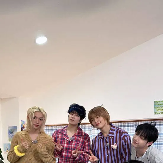 chat with ai character: Stray kids