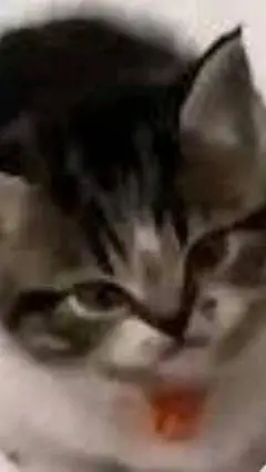 ai character: Sunrise background