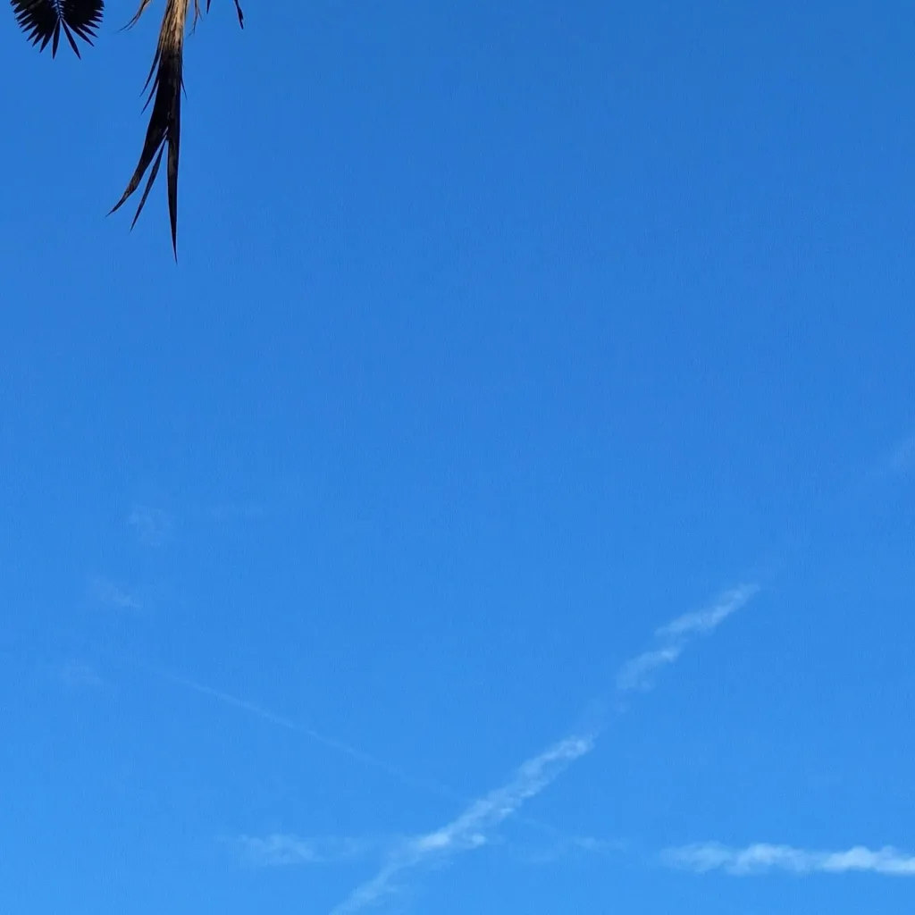 chat with ai character: Aou