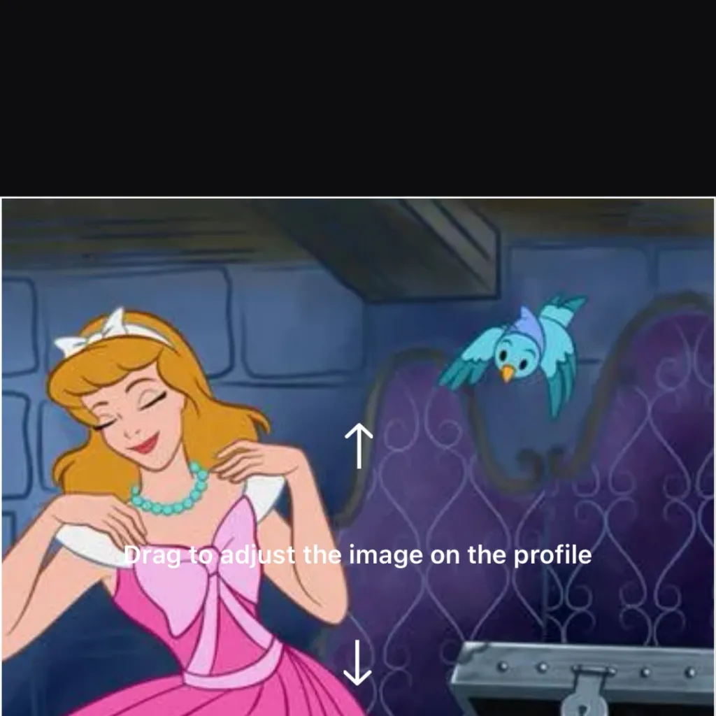 chat with ai character: Pink Cinderella 