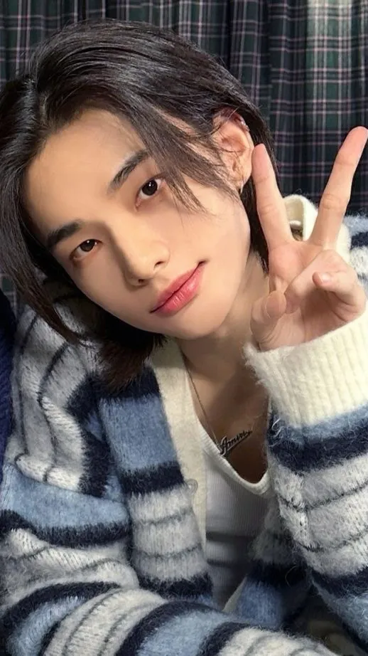 ai character: Hyunjin background